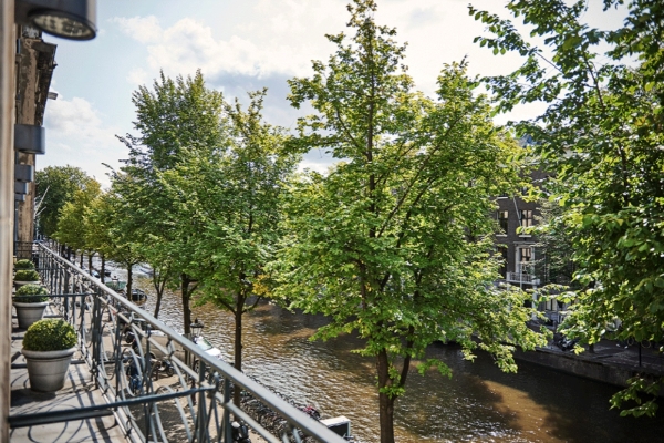 Banks Mansion - a river with trees and a railing