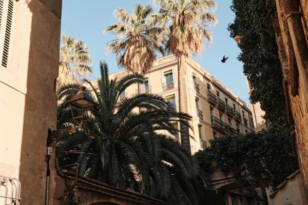 Casa Camper Hotel Barcelona - a building with palm trees and a bird flying