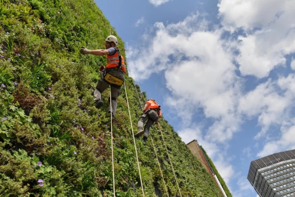 Hotel 41 - a group of people climbing a wall