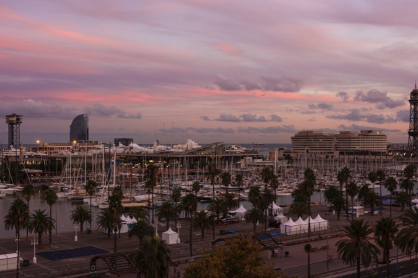 Hotel Duquesa de Cardona - a marina with palm trees and buildings